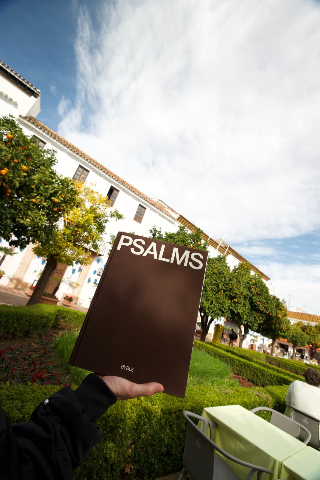 The Book of Psalms view 3